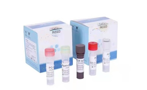 [CCLPCRO] PCR Reagent (96tests per box )-Omicron Type